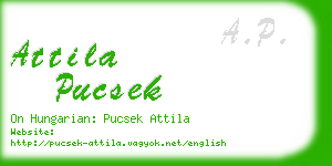 attila pucsek business card